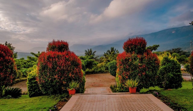 Golden Hill Resort