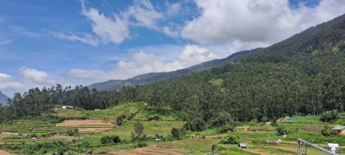 Grace villa Homestay