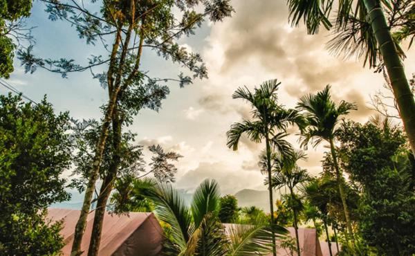 Grassroots Wayanad, Valley-view Tents in Vythiri