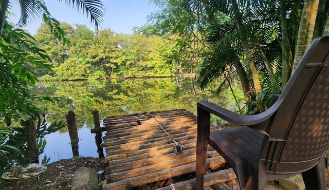 Green County Wellness Retreat