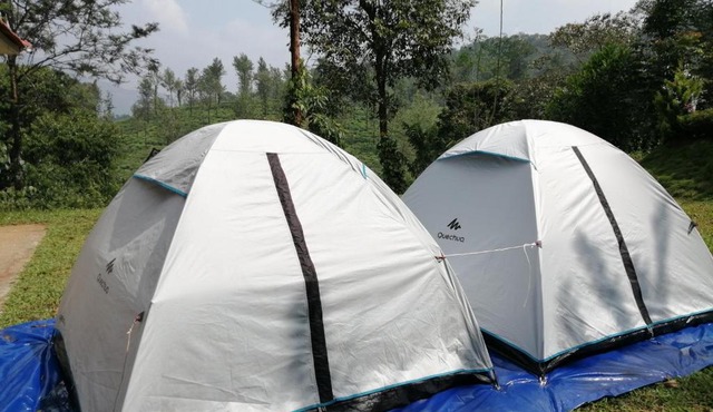 Green Garden Tents