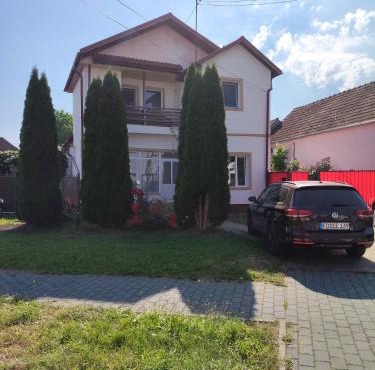 Green Thuja House