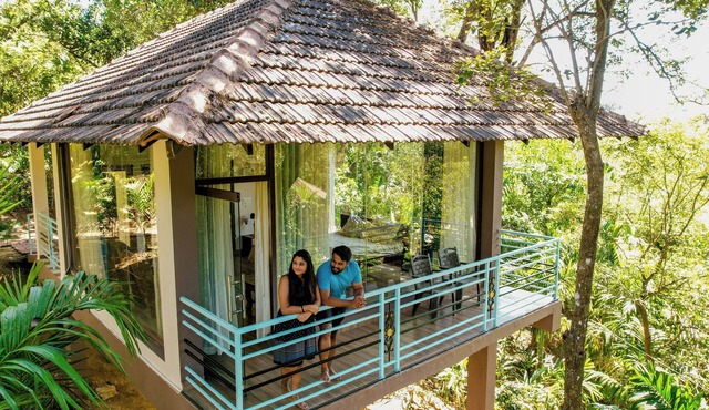 Green Tree Resort