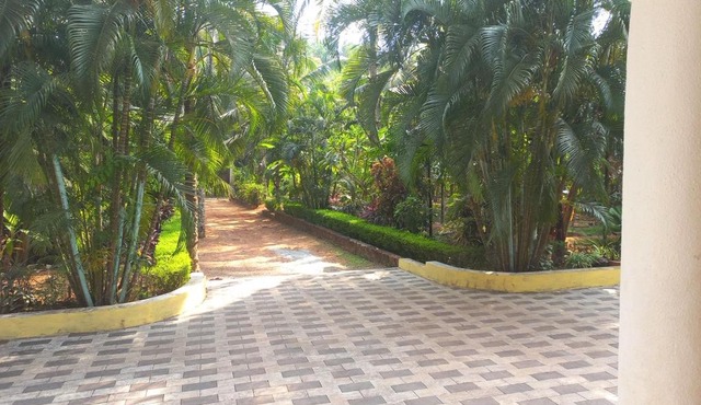 greenview homestay Mayyil