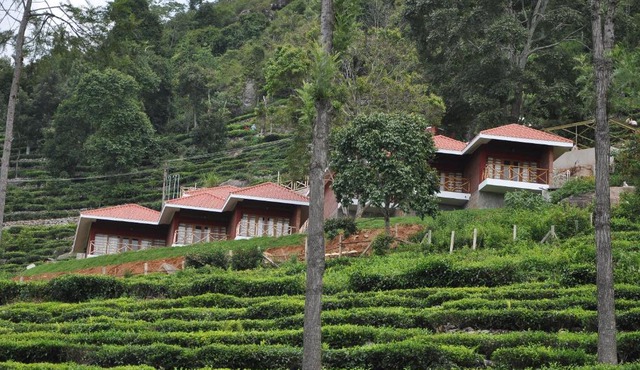 Hanging Huts Resorts