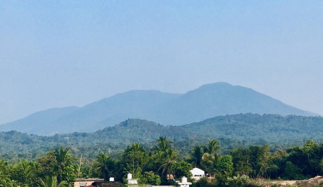 HANNA HOMESTAY Our place is full of nature
