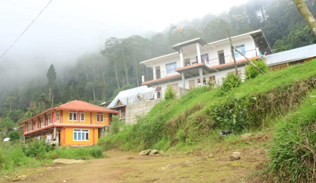 Heaven Valley