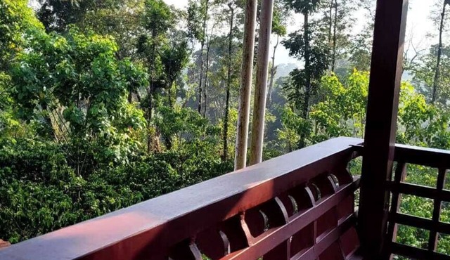 Heights Farm Stay - Coffee Estate Stay