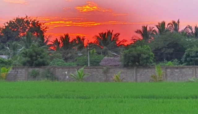 HIDE OUT at Medur, Pulicat Highway