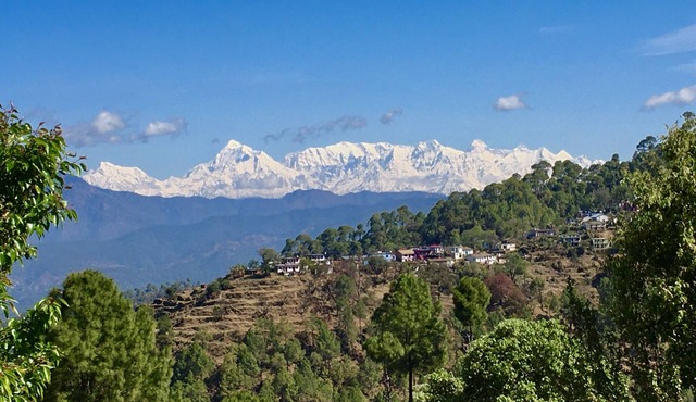 Himalaya View