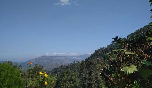 Himalayan View,Chirpy Morning