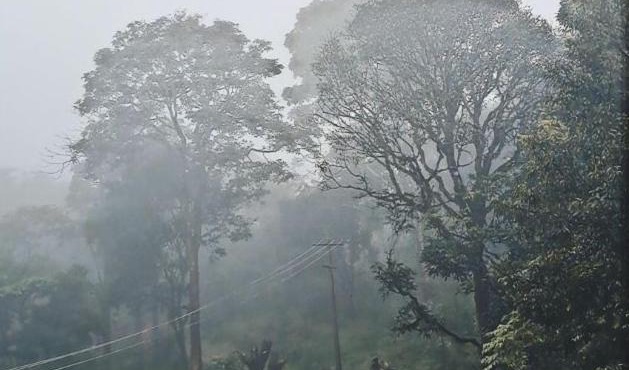 Homestay at Madikeri