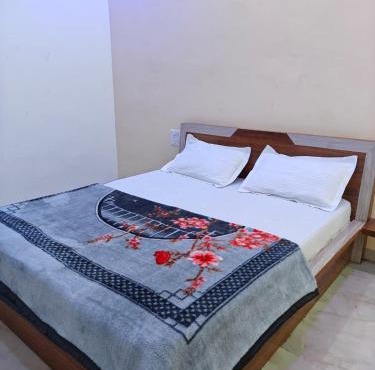 Hotel Ankit Palace