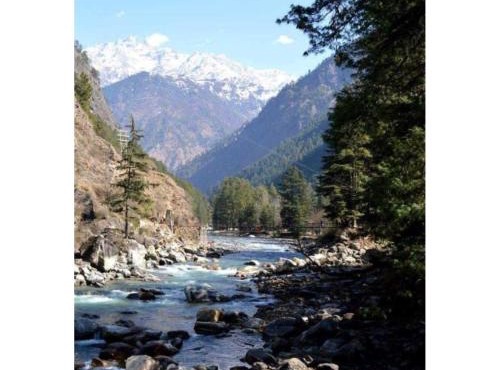Hotel Deep Forest, Kullu in Kasol