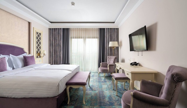 Hotel Leul de Aur in Sebes