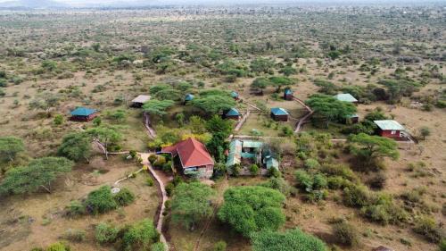 Ikoma Safari Lodge