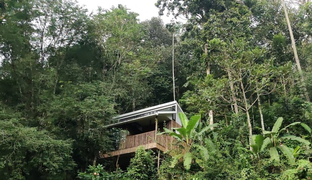 IlliVilla Bamboo claded single room cottage inside Organic Spices Farm in Munnar