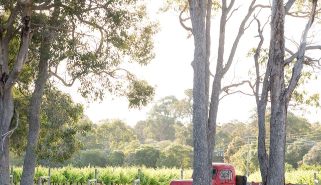 Island Brook Cabernet Chalet- Exclusive Escapes. Rural vineyard chalet in Margaret River in Yelverton