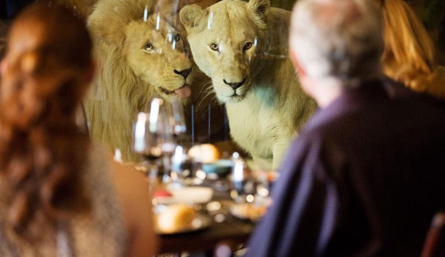Jamala Wildlife Lodge