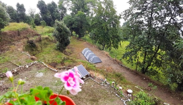Janardan Campsite Kausani