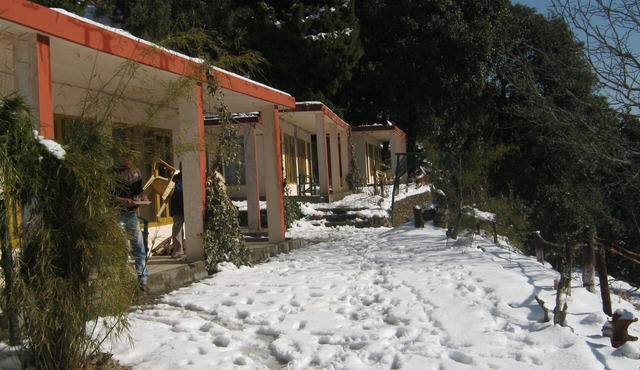 Janardan Resort Pangot, Nainital