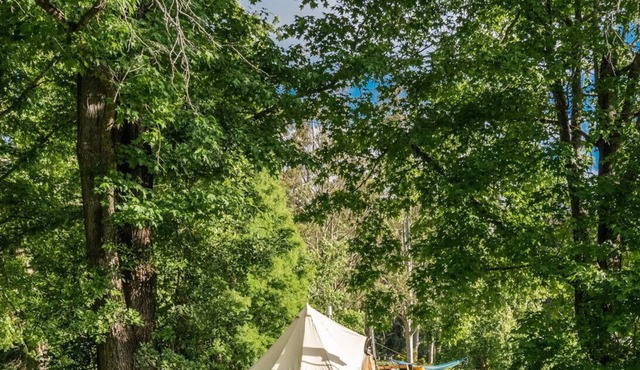 Jilliby Creek Glamping Tent