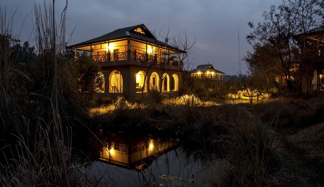 Jim's Jungle Retreat