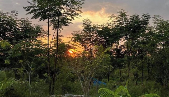 JoE- Amidst Nature campground in Thalikothanur - CAMPSITE 3