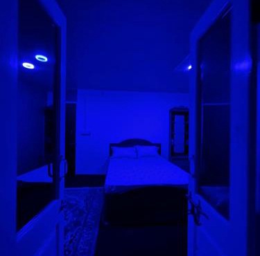 Jojos homestay