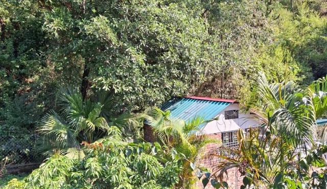 Junegiri Farms & Homestay