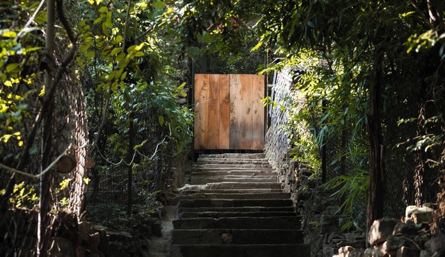 Jungle Ghar