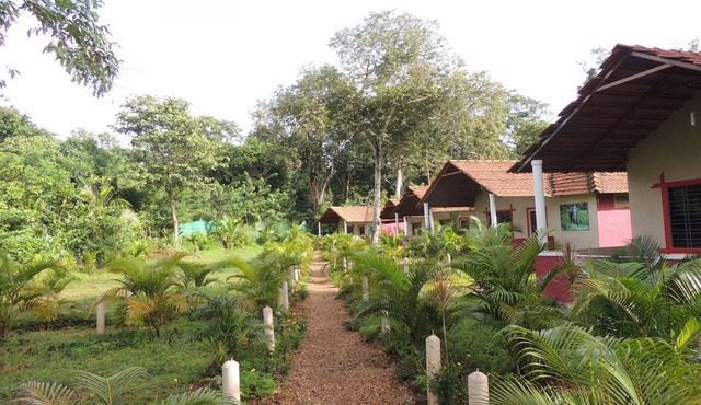 Jungle Nest Homestay