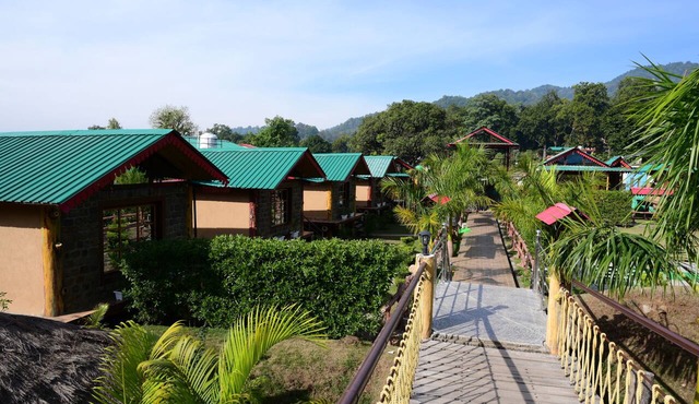 Jungle Resort
