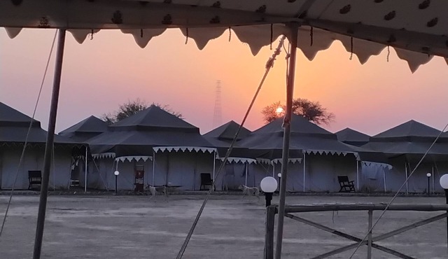 Kaila Devi Hotel Camp