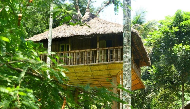 Kalidasa Tree House and Villa,Wayanad