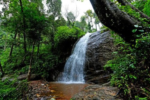 Karadikallu Homestay - Private Waterfalls, Trek, Hill Top, Home Food