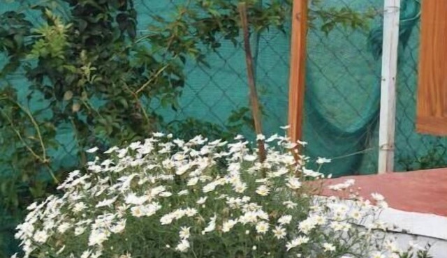 Kathiresan's Diamond hill view cottage