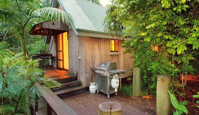Kingfisher: Mt Glorious Getaways in Mount Glorious