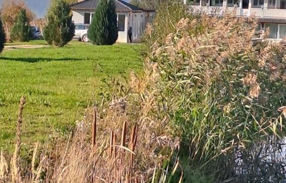 La Izvoare Pensiune-Păstrăvărie