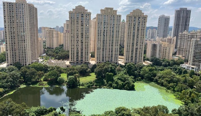 Lakefront AC Balcony LakeView Studio Apartment at Hiranandani Estate, Thane