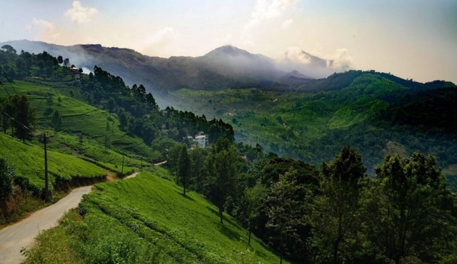 Linten Holiday Resort, Property set in Munnar.4.7km from MUNNAR