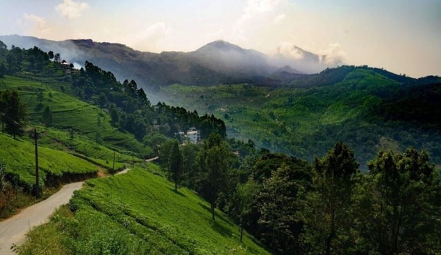 Linten Holiday Resort, Property set in Munnar.4.7km from MUNNAR Town