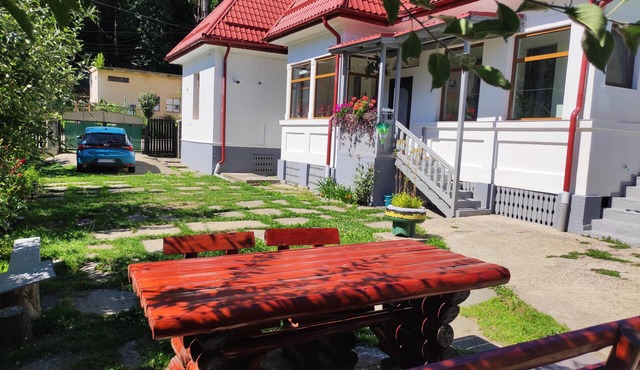 Little Bear Busteni - fantastic 3-bedroom house for your getaway