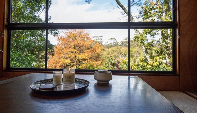 Luxury, Comfort and Convenience in the Rainforest. Pet friendly. in Springbrook