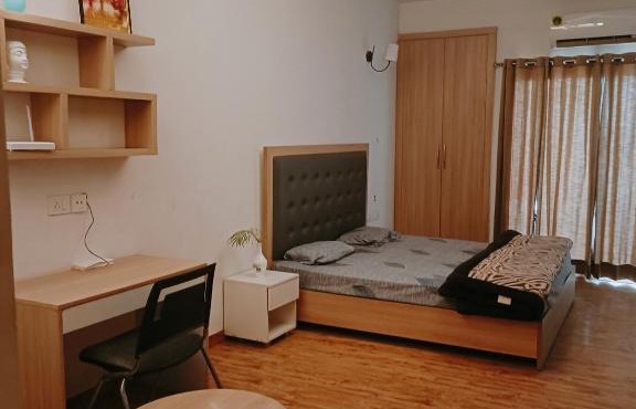 Luxury furnished studio apartment