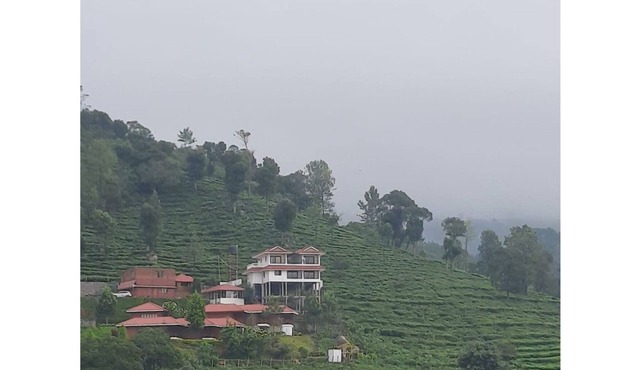 Luxury Homestay