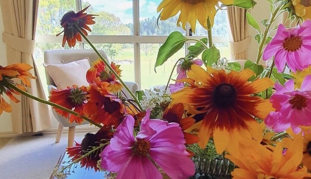 Luxury in Secluded Valley, Wineries, spa, massage & views. Stanthorpe Qld in Severnlea