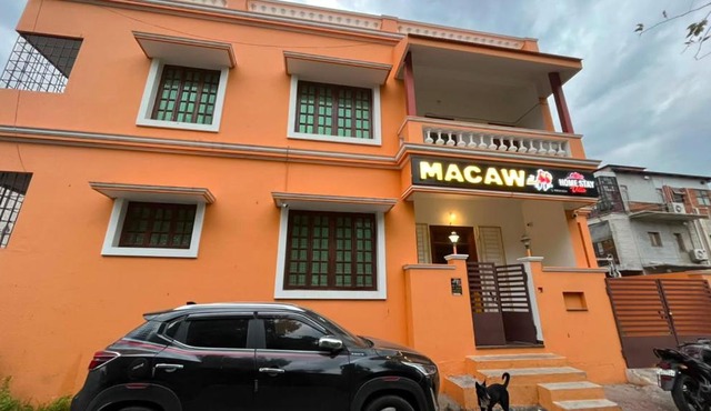 macaws home stay