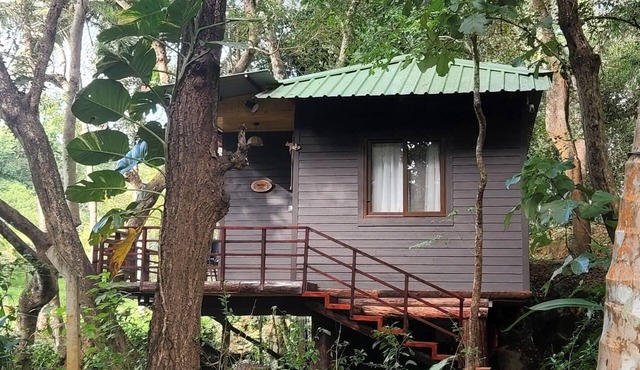 Machan @ Captain's Camp, Sirsi