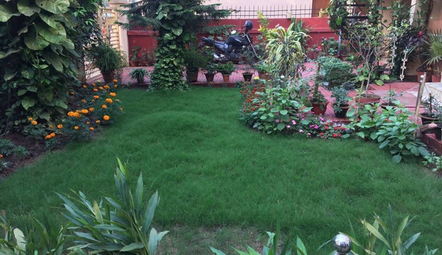Mahanadi: Spacious room with attached bathroom@ Nabagunjara Terrace
